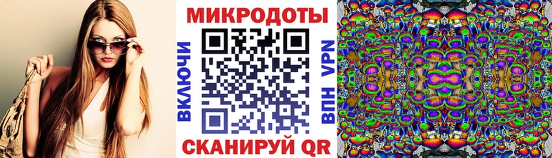 блэк спрут Гвардейск Галлюциногенные грибы Psilocybine cubensis